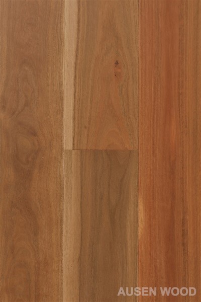 Cooper{0}}Brwsio Planc Gwm Smotiog