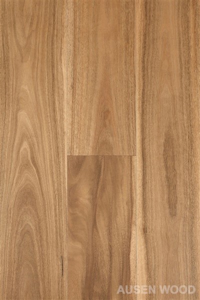 Cooper -Planc Gwm Smotyn Flat