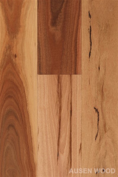 Daintree-Planc Gwm Smotyn Flat