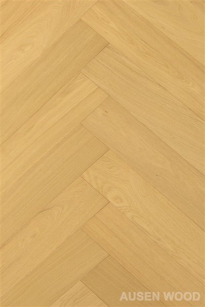 Asgwrn Penwaig Derw Ewropeaidd ffres