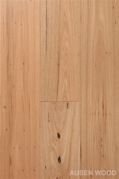 Gordon-Brwsio Blackbutt Plank