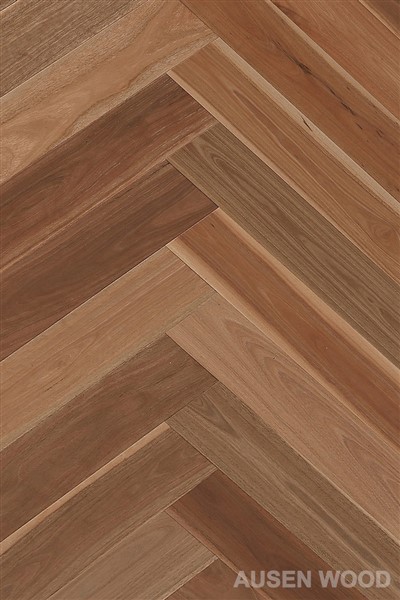 Lloriau asgwrn penwaig gwm mannog